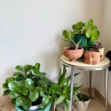 La Casa Di Margherita Floransa