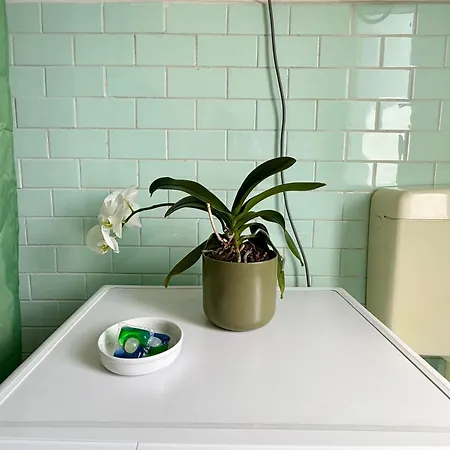 Daire La Casa Di Margherita Floransa